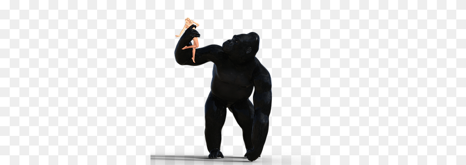King Kong Adult, Person, Woman, Female Png Image