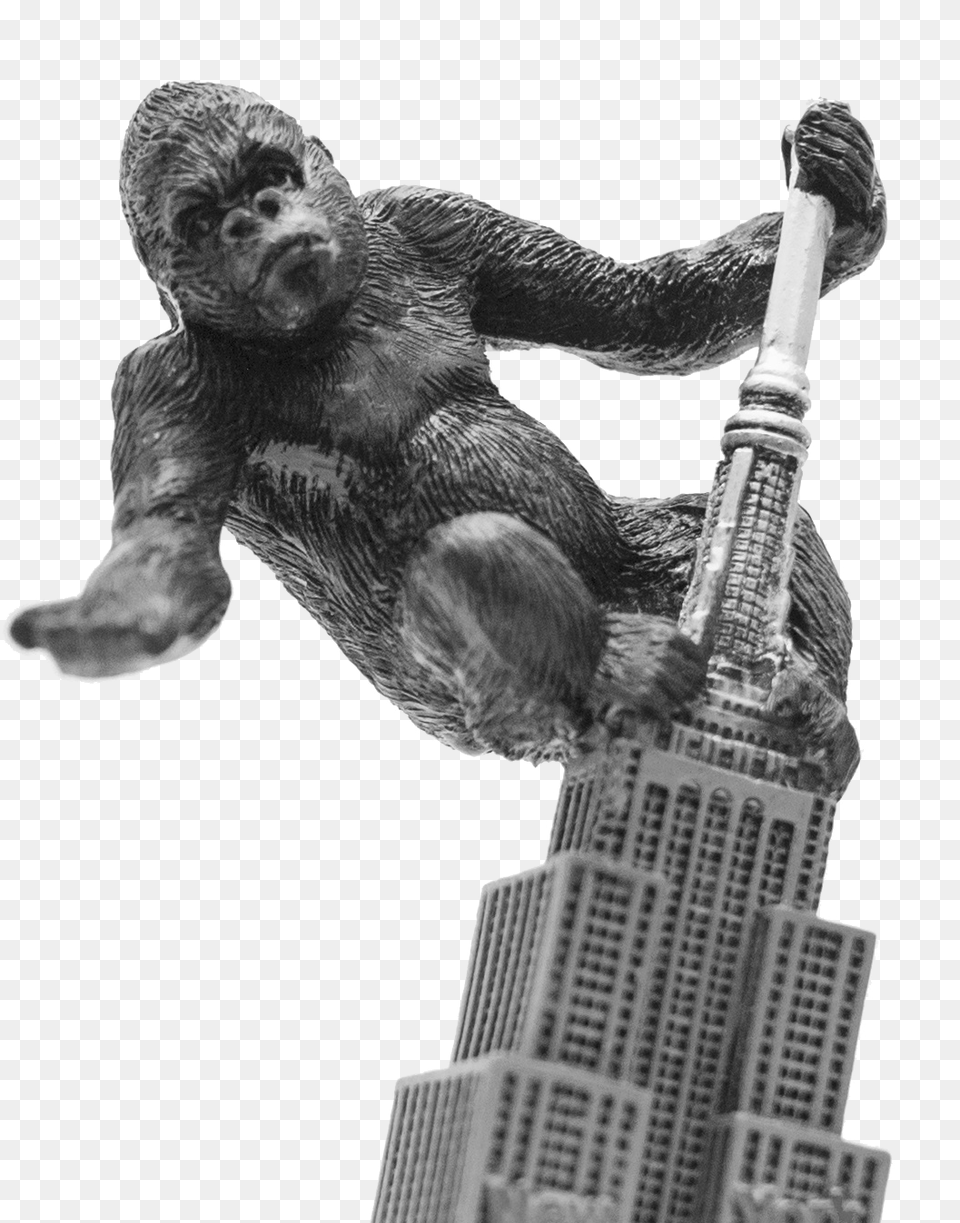 King Kong, Animal, Bear, Mammal, Wildlife Free Transparent Png