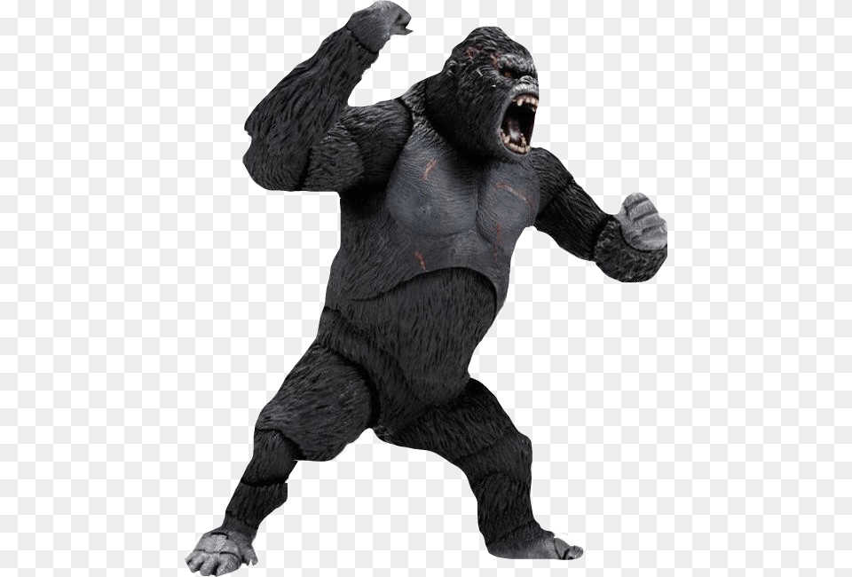 King Kong, Animal, Ape, Mammal, Wildlife Free Png Download
