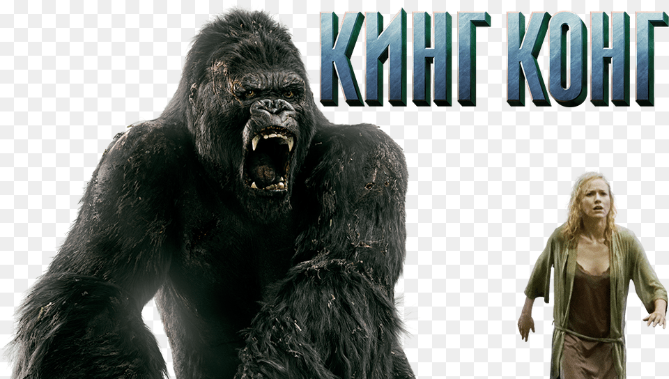 King Kong En, Adult, Wildlife, Person, Mammal Free Png Download