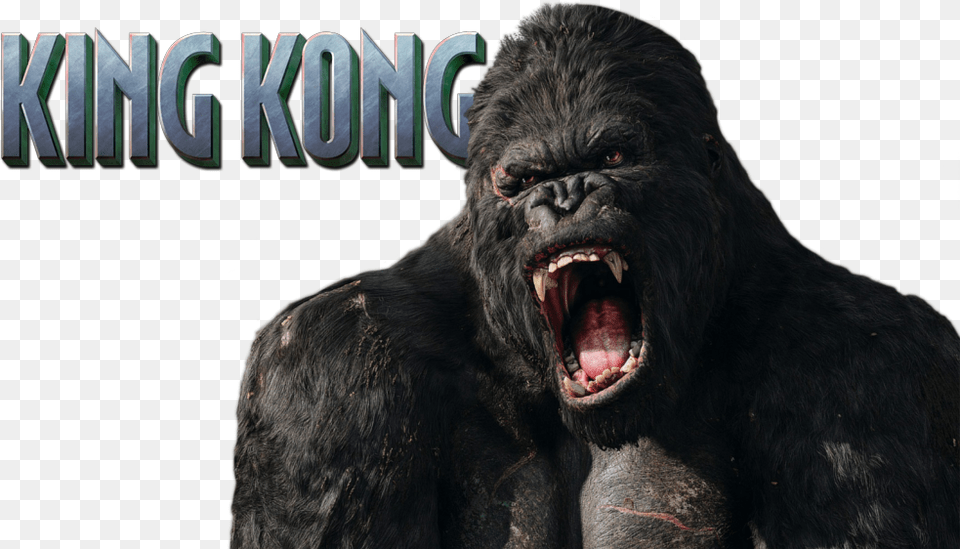 King Kong Image, Animal, Ape, Bear, Mammal Free Transparent Png
