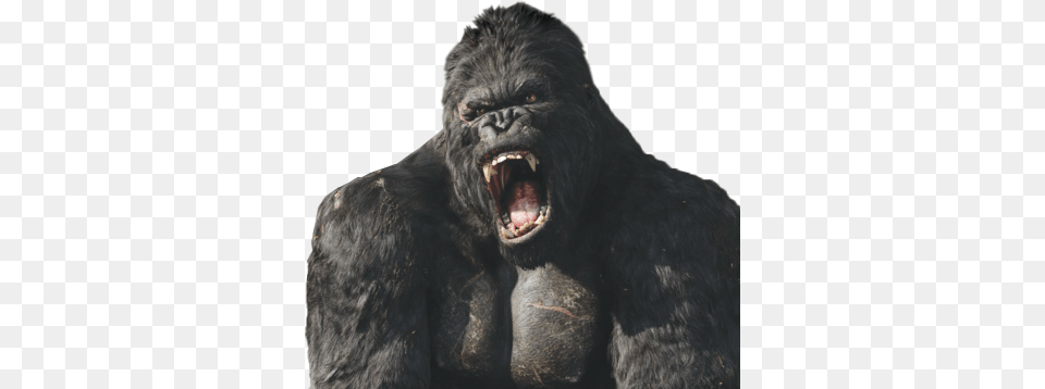 King Kong Old School Cartoons Monkey King Kong Transparent Background, Animal, Ape, Mammal, Wildlife Free Png