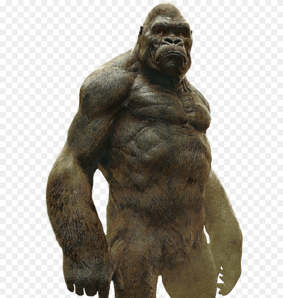 King Kong Transparent By Asthonx1 Db3emk8 Imgenes De King Kong, Wildlife, Animal, Ape, Mammal Png Image
