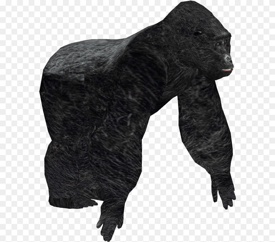 King Kong Zoo Tycoon King Kong, Animal, Ape, Mammal, Wildlife Free Png