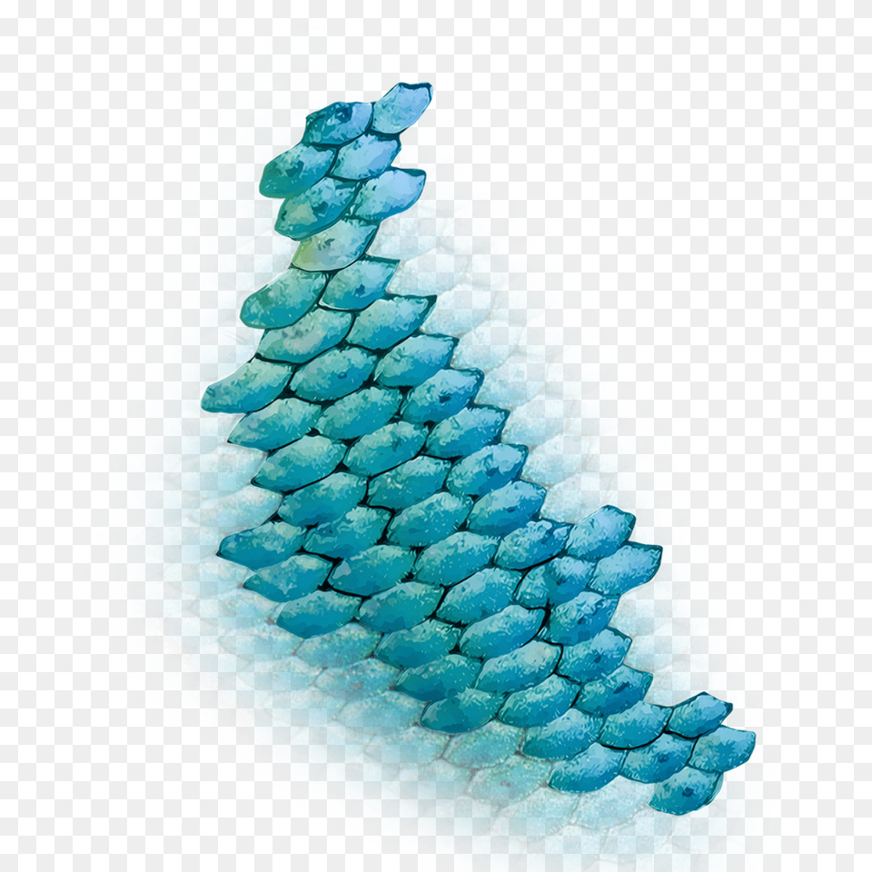 King Of Heart Fish Scales, Accessories, Turquoise, Ornament, Gemstone Png Image