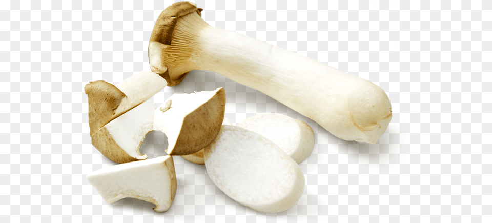 King Oyster Mushroom 01 Pleurotus Eryngii, Fungus, Plant, Agaric, Amanita Free Png