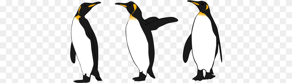 King Penguin Clipart Emperor Penguin, Animal, Bird, King Penguin Free Png