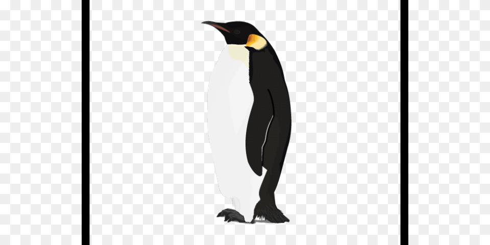 King Penguin Clipart Real Transparent Background Emperor Penguin, Animal, Bird, King Penguin Free Png