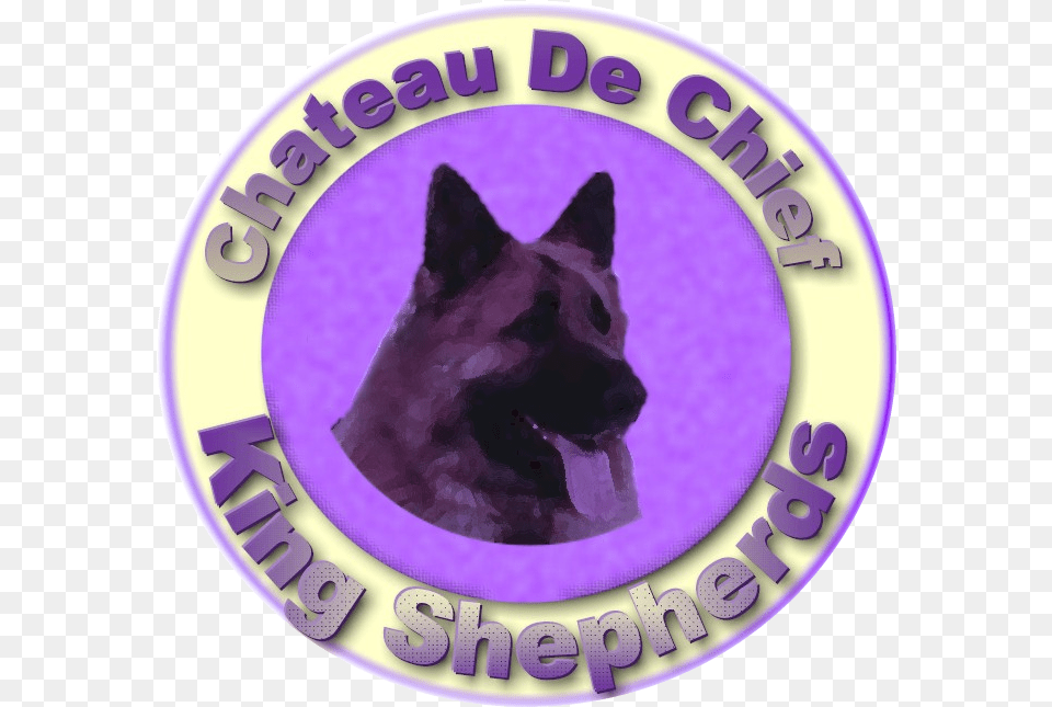 King Shepherd Dog King Shepherd, Purple, Animal, Canine, Mammal Free Png Download