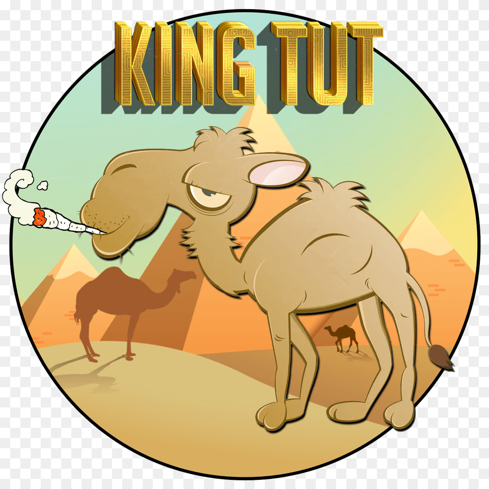 King Tut Stickyzoo, Animal, Camel, Mammal, Disk Free Png