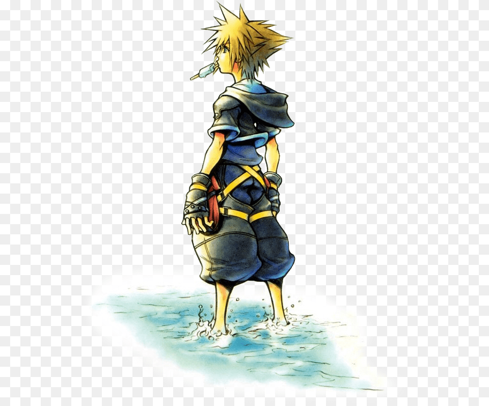 Kingdom Hearts 2 Kingdom Hearts 2 Sora Art, Book, Comics, Publication, Person Png Image