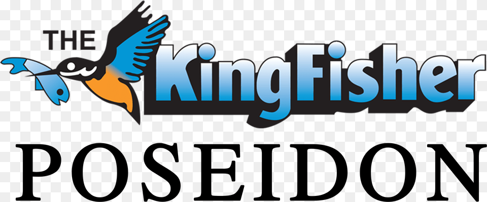 Kingfisher, Animal, Bird, Jay, Flying Free Png Download