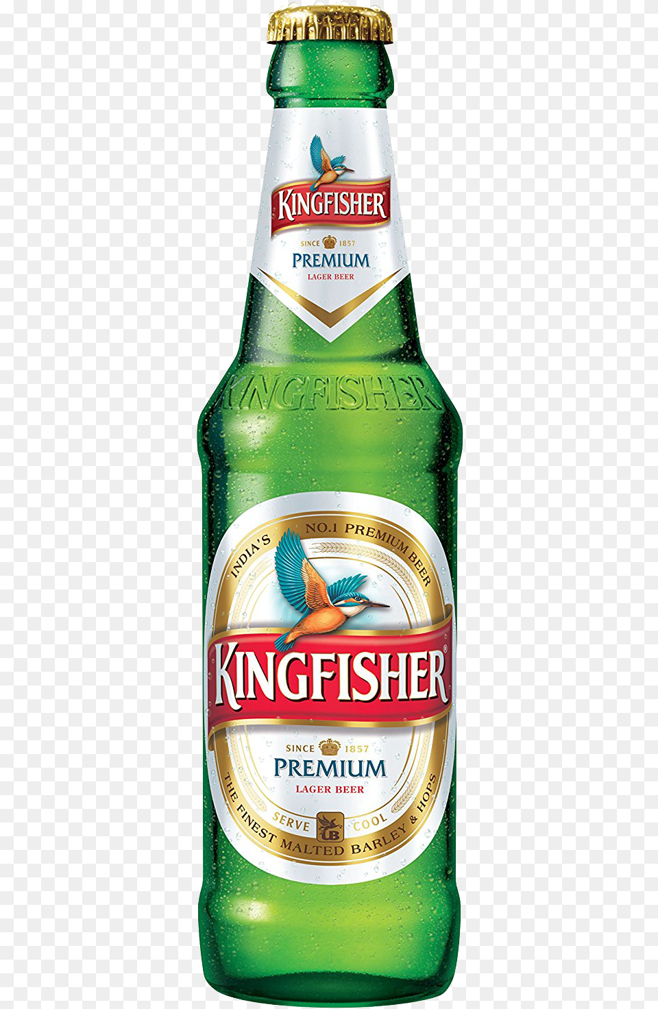 Kingfisher Beer Bottle, Alcohol, Beer Bottle, Beverage, Lager Png