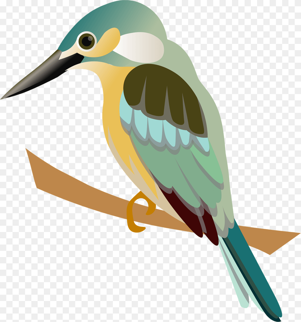 Kingfisher Bird Clipart, Animal, Beak, Bee Eater, Jay Free Transparent Png