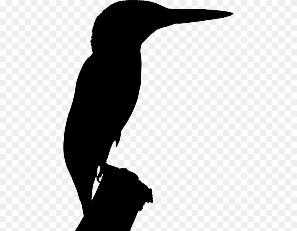 Kingfisher Bird Silhouette, Gray Free Transparent Png