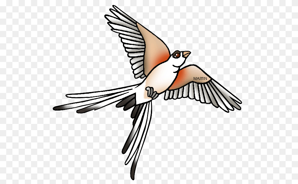 Kingfisher Clipart Ibon, Animal, Bird, Flying, Swallow Free Transparent Png
