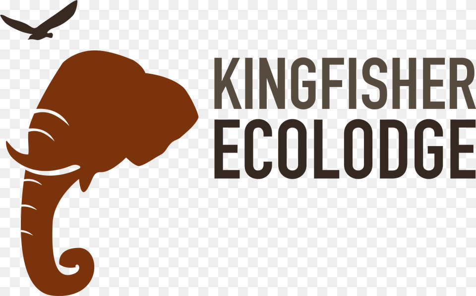 Kingfisher Ecolodge Logo, Animal, Wildlife, Mammal, Bird Png