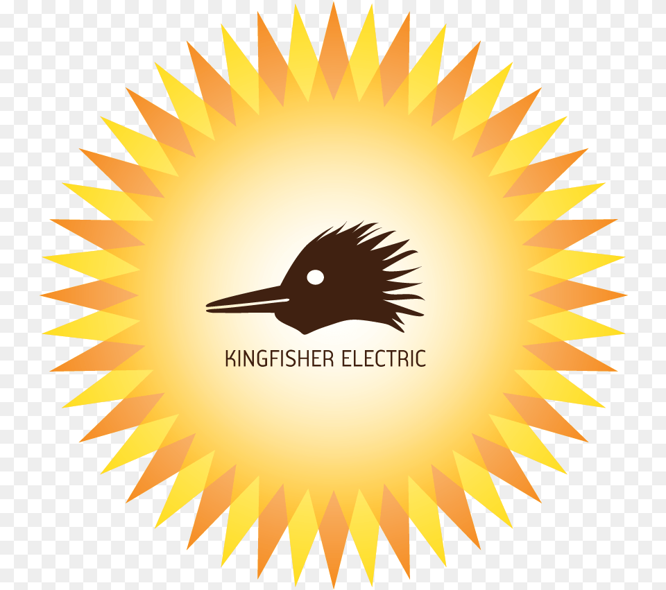 Kingfisher Electric Instinct Dance Moby, Animal, Beak, Bird Free Transparent Png