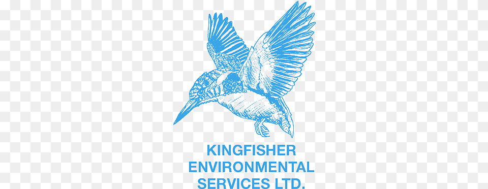 Kingfisher Environmental Services Ltd Emblem, Advertisement, Poster, Animal, Bird Free Png
