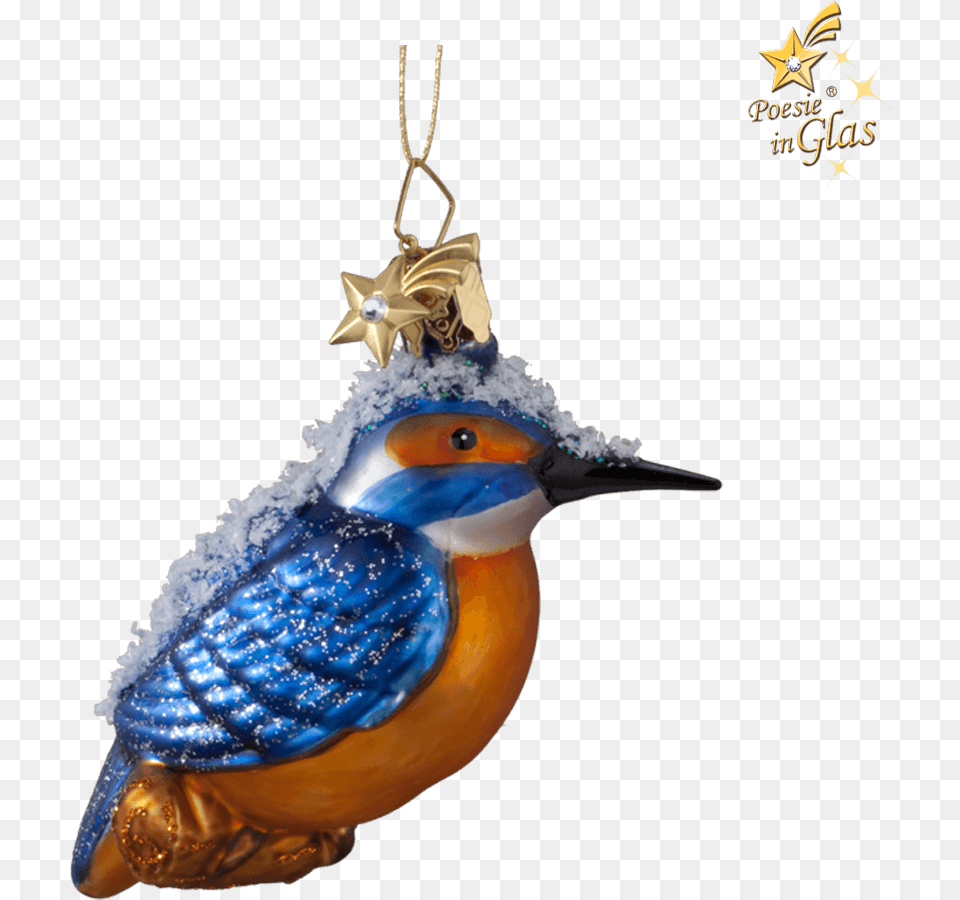 Kingfisher European Swallow, Animal, Beak, Bird, Jay Png