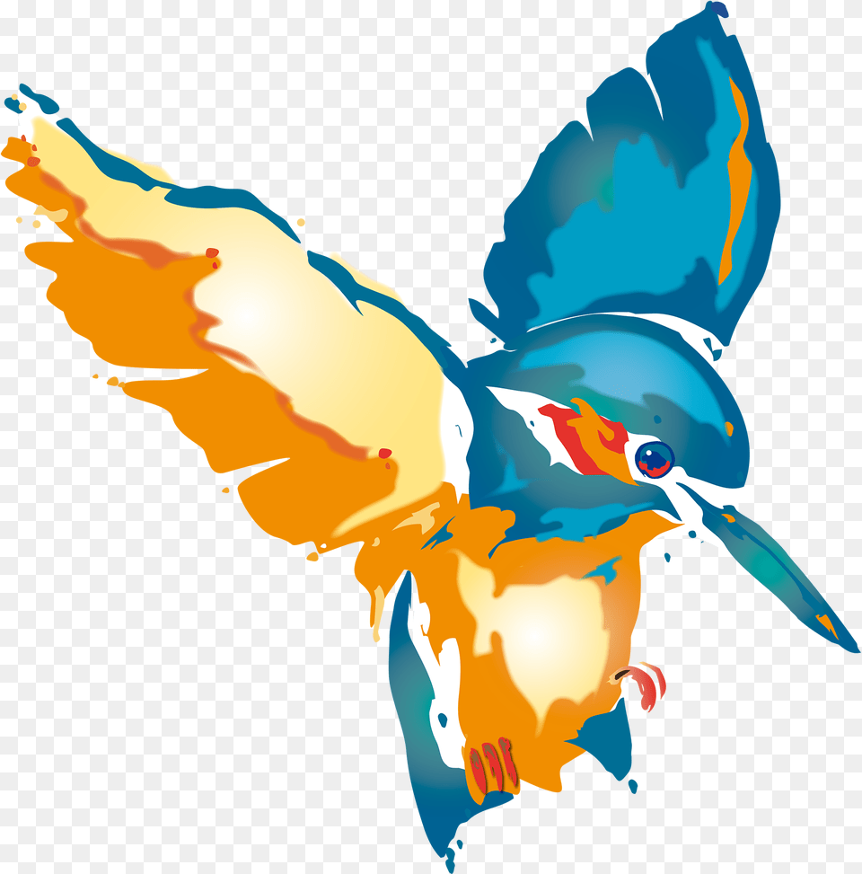 Kingfisher Graphic, Animal, Bird, Jay, Baby Free Png