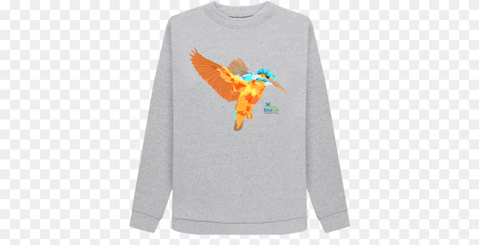 Kingfisher Jumper Sweater, Clothing, Long Sleeve, Sleeve, Animal Png