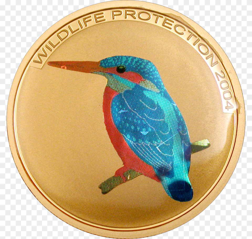 Kingfisher Ruby Throated Hummingbird, Gold, Animal, Bird Free Png