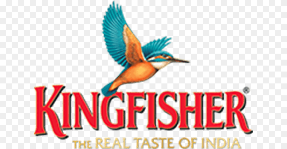 Kingfisher The Real Taste Of India, Animal, Beak, Bird, Bee Eater Png
