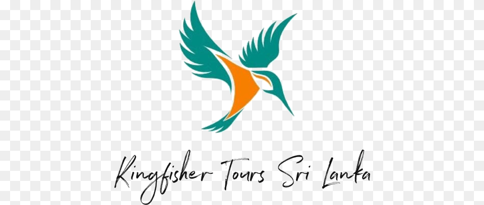 Kingfisher Tours Srilanka Kingfisher Tours Sri Lanka, Animal, Bee Eater, Bird, Flying Png Image