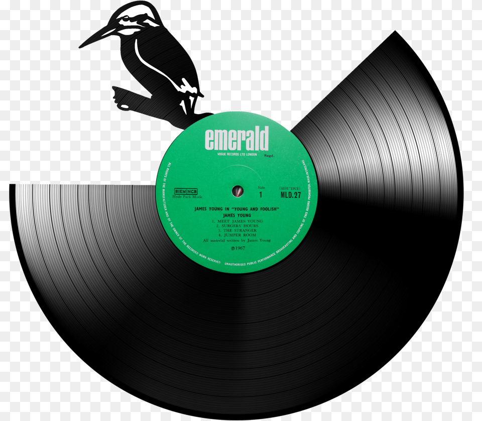 Kingfisher V Penguin, Animal, Bird, Disk Free Transparent Png