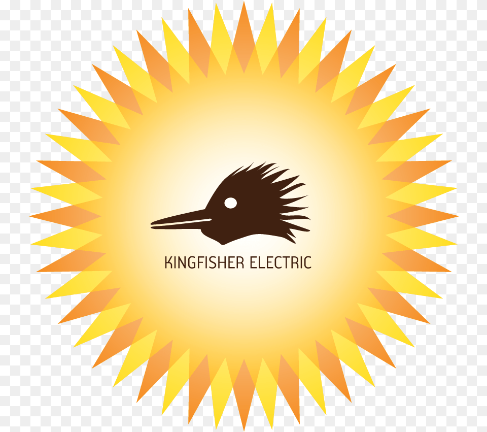 Kingfisherlogo University Of Calcutta Logo, Animal, Beak, Bird Free Png