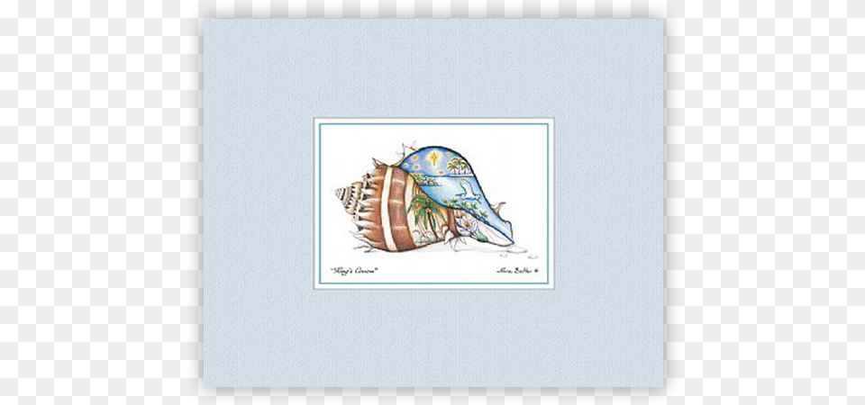 Kings Crown Bluebird, Animal, Invertebrate, Sea Life, Seashell Free Png