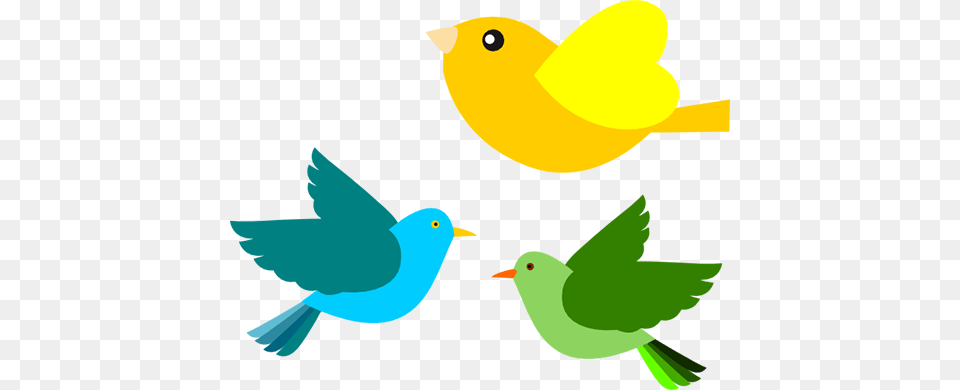 Kiran The Bird Lover, Art, Graphics, Painting, Person Png