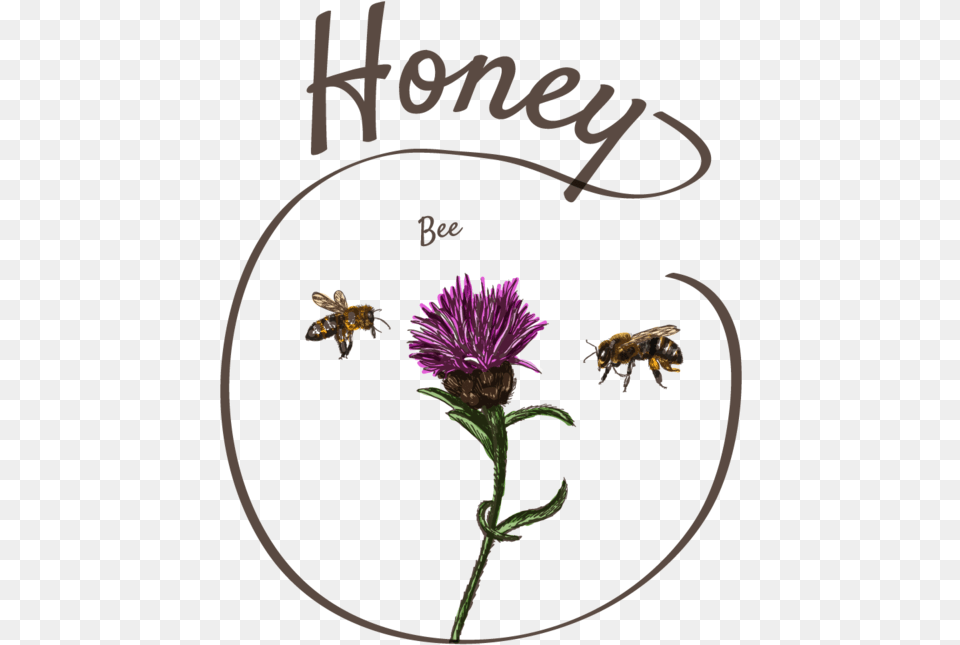 Kiss The Flower Honeybee Art Illustration, Animal, Invertebrate, Insect, Honey Bee Png Image