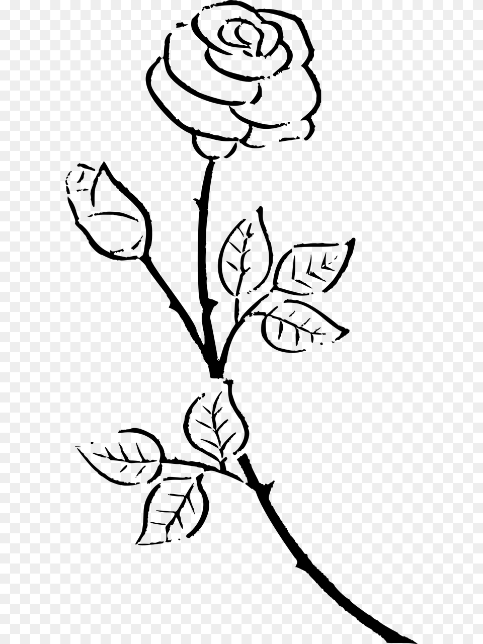 Kisscc Silhouette Drawing Rose Black And White Flower White Rose Silhouette, Gray Free Png Download
