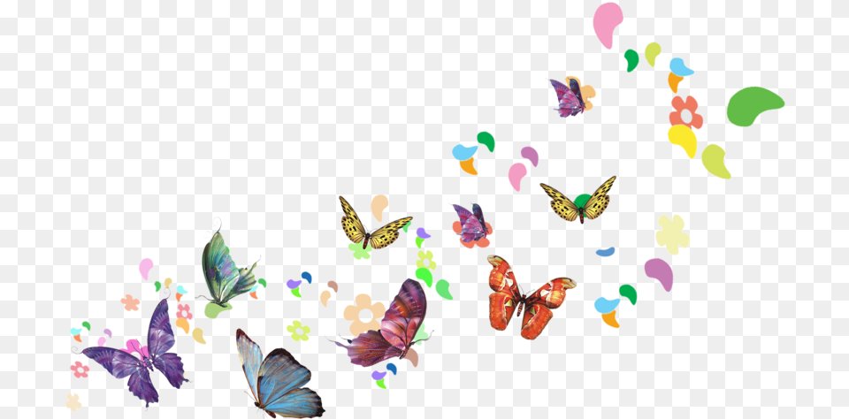 Kisspng Butterfly Poster Flying Butterfly, Paper, Animal, Bird, Insect Free Transparent Png