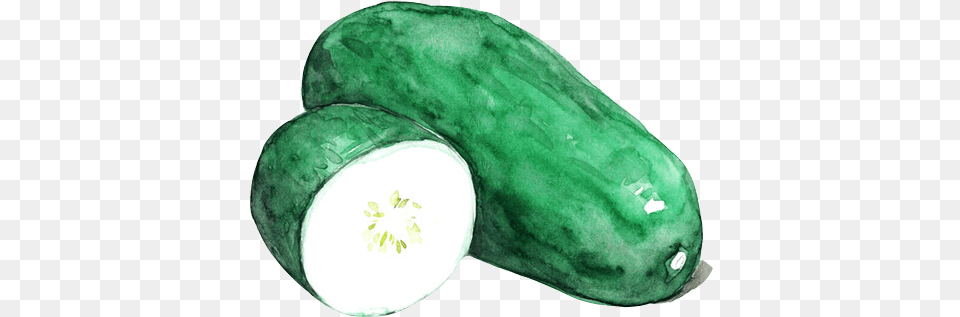 Kisspng Vegetablewatercolorpaintingwaxgourdvegetarian Winter Melon Watercolor, Cucumber, Food, Plant, Produce Free Png Download