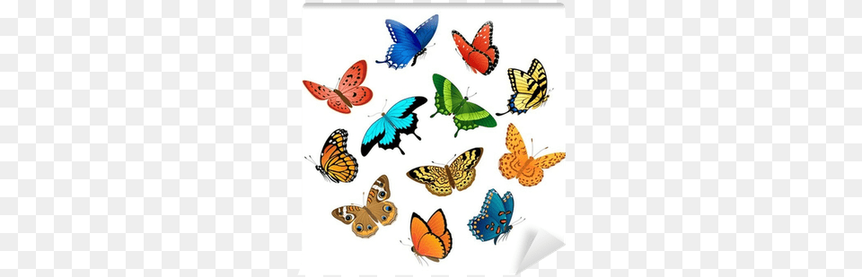 Kit Cenrio Display De Mesa Borboletas Com 20 Cm, Animal, Butterfly, Insect, Invertebrate Png