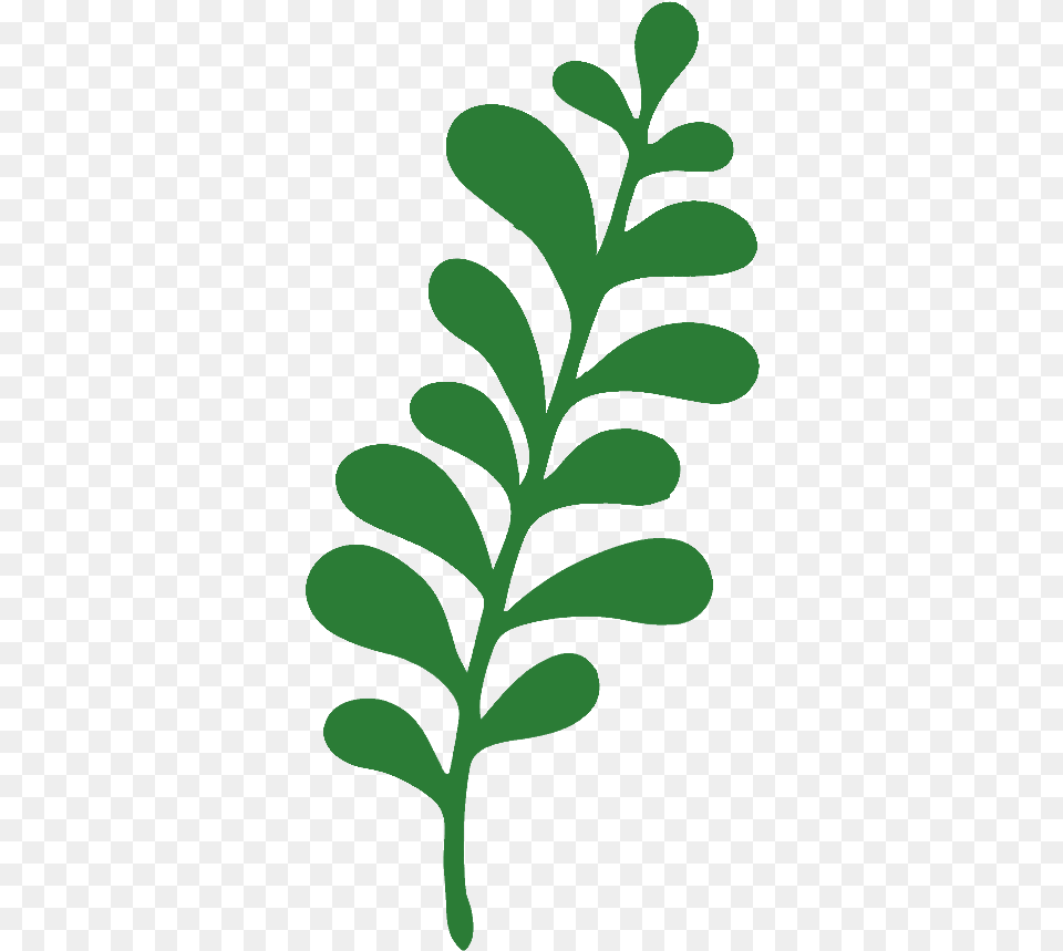 Kit Folha De Papel Gigante Molde De Folha De Papel, Herbs, Green, Herbal, Leaf Free Transparent Png
