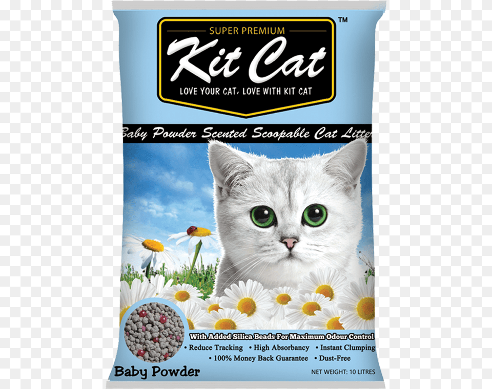 Kit Kat Cat Litter, Advertisement, Plant, Poster, Flower Png Image