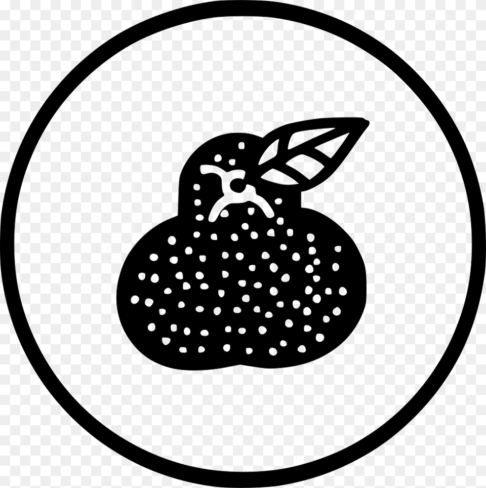 Kitchen Fruit Guava Amrood Helthy Fresh Line Art, Stencil, Berry, Food, Plant Png Image