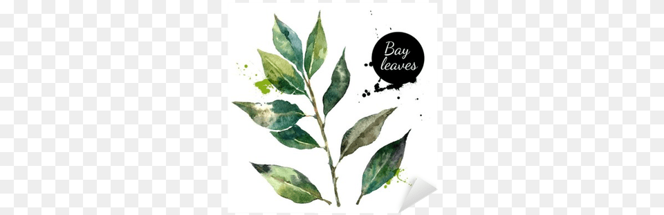 Kitchen Herbs And Spices Banner Dried Blackberry Leaf 3 Wild Leaf By Wild Foods Dried, Plant, Herbal, Animal, Bird Free Png