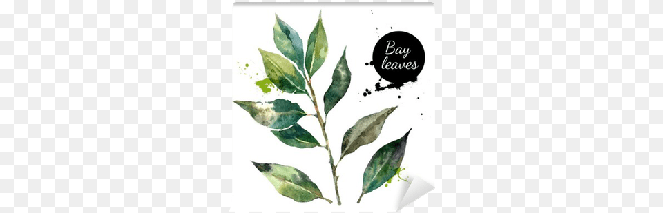 Kitchen Herbs And Spices Banner Watercolor Painting, Leaf, Plant, Herbal Png Image