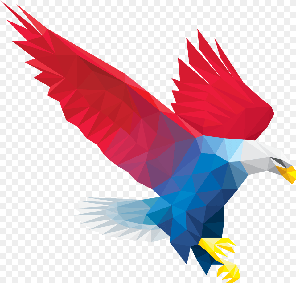 Kite, Animal, Bird, Flying, Eagle Free Transparent Png