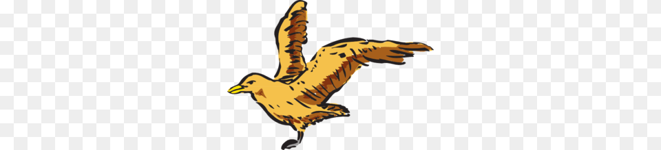 Kite Flying Clipart, Animal, Beak, Bird, Seagull Png Image