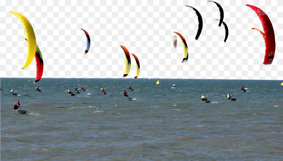 Kite Foil Gold Cup 2016 In Calabria Gizzeria Seabird, Person, Water, Sea, Nature Free Png