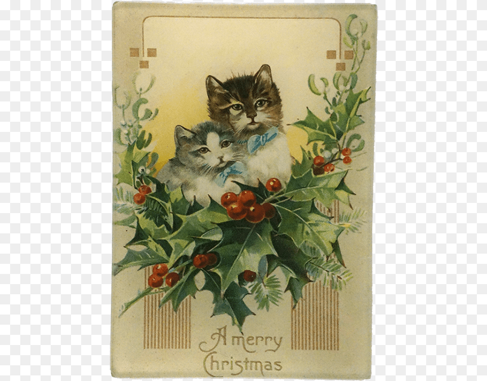 Kitten, Envelope, Greeting Card, Mail, Animal Png