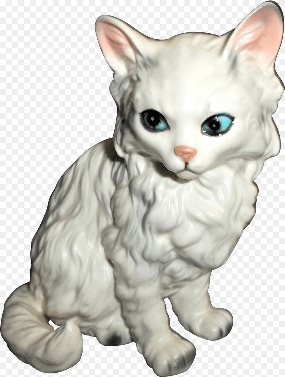 Kitten, Angora, Animal, Pet, Mammal Png Image