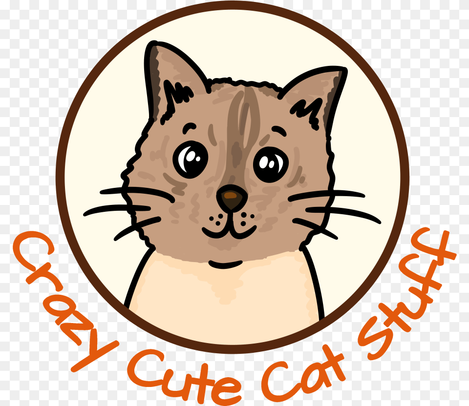 Kitten, Baby, Person, Face, Head Free Transparent Png