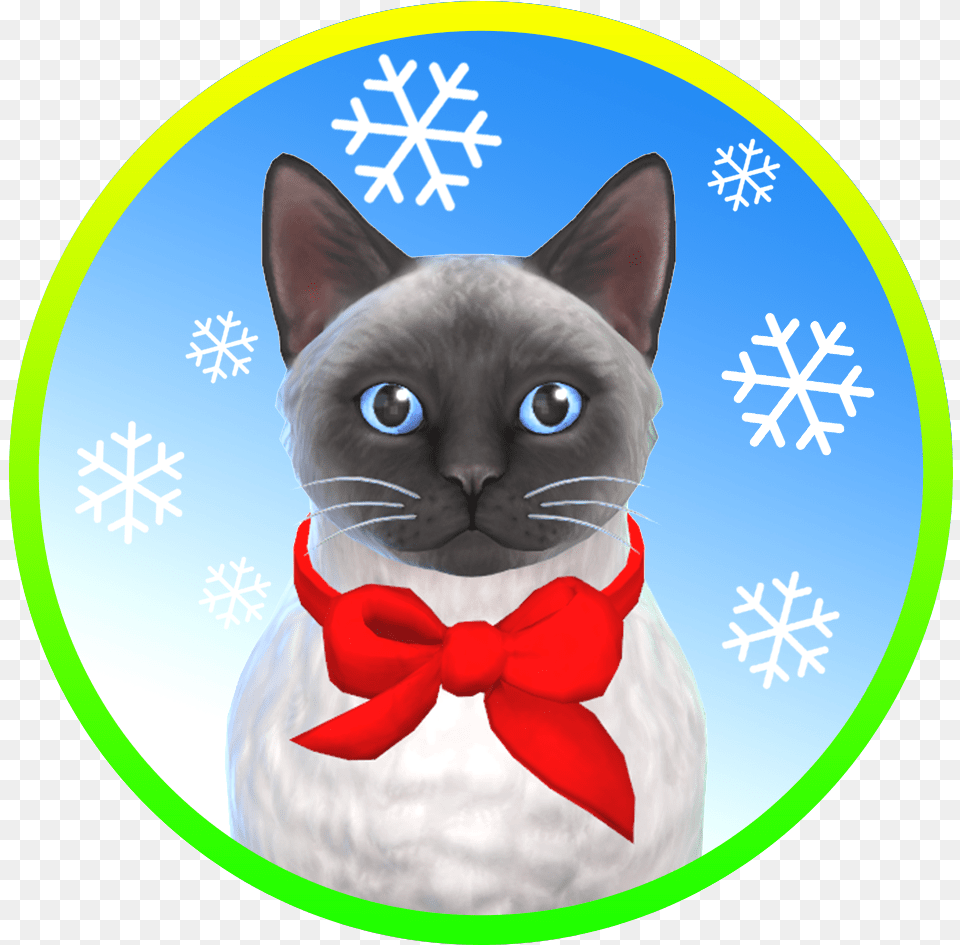 Kitten, Accessories, Formal Wear, Tie, Animal Png Image